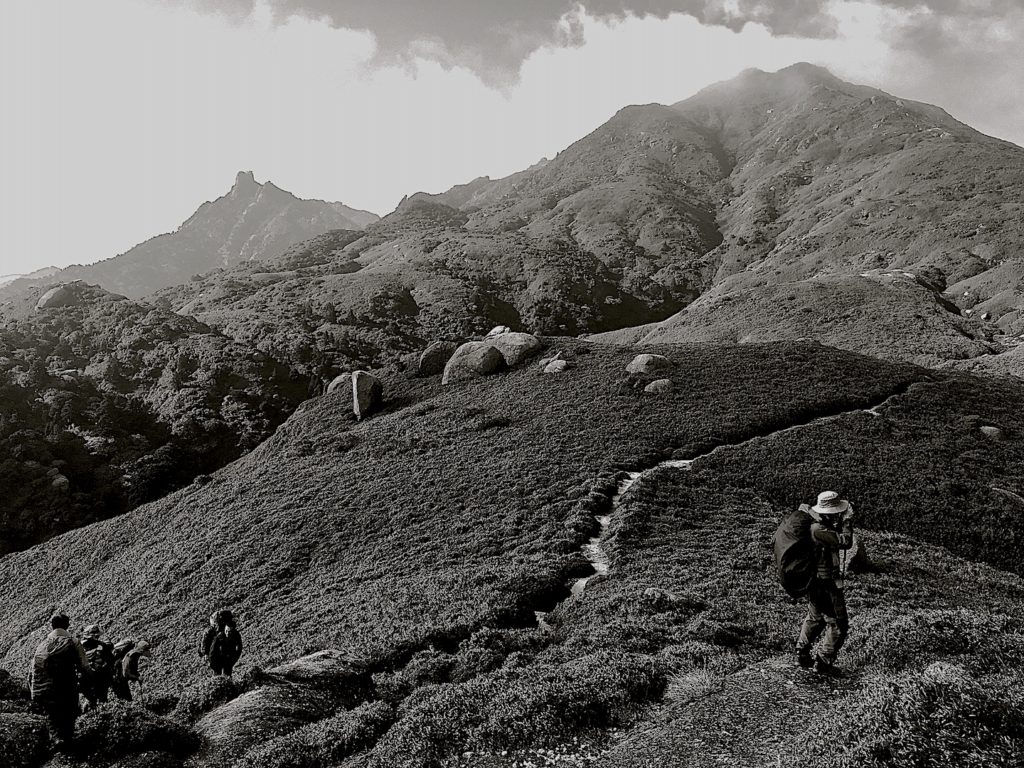 tours yakushima