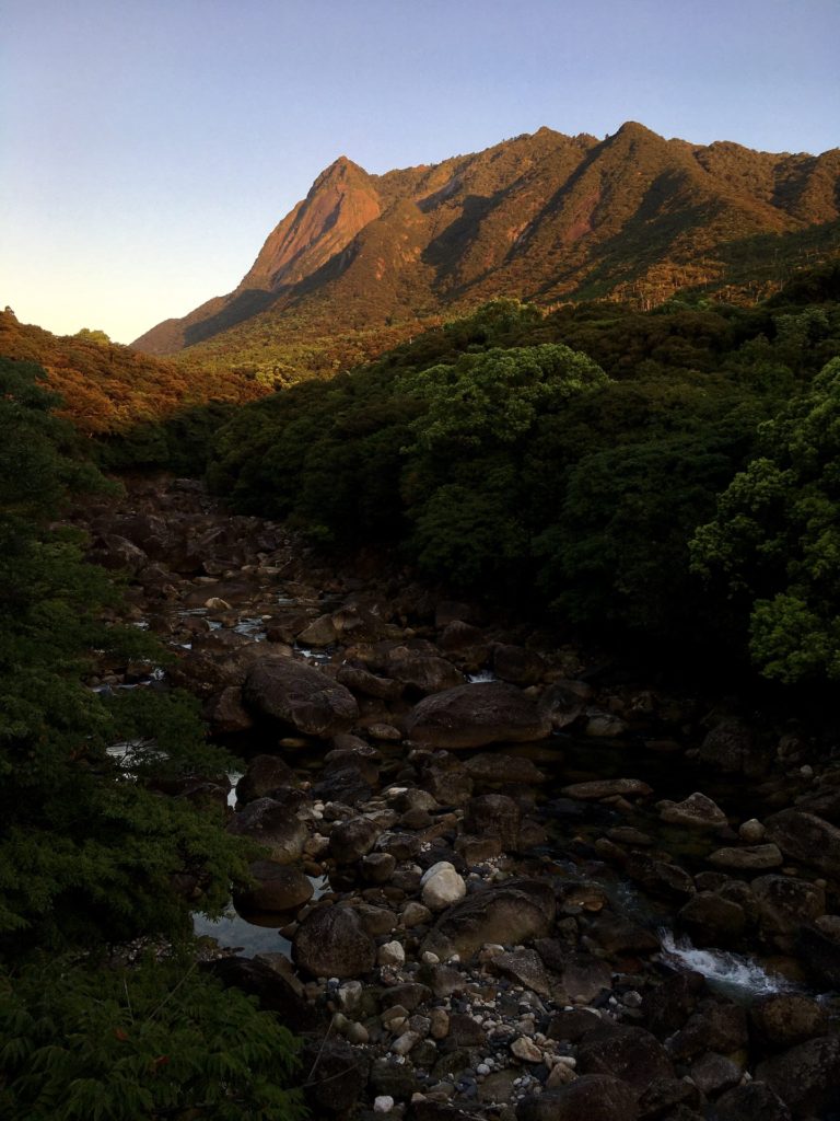 tours yakushima