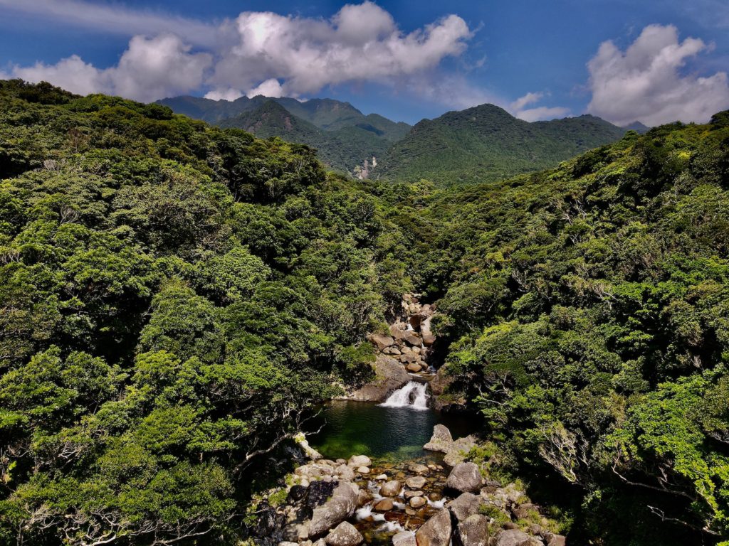 tours yakushima